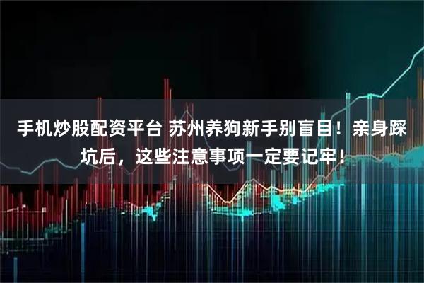 手机炒股配资平台 苏州养狗新手别盲目！亲身踩坑后，这些注意事项一定要记牢！