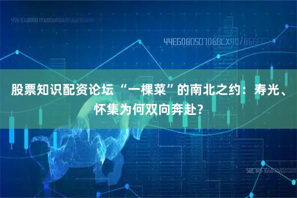 股票知识配资论坛 “一棵菜”的南北之约：寿光、怀集为何双向奔赴？